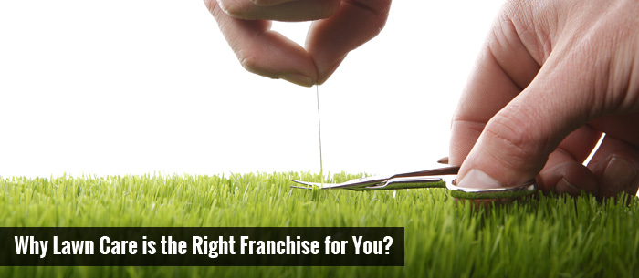 Image of Why Lawn Care is the Right Franchise for You?