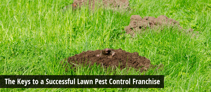 Image ofThe Keys to a Successful Lawn Pest Control Franchise