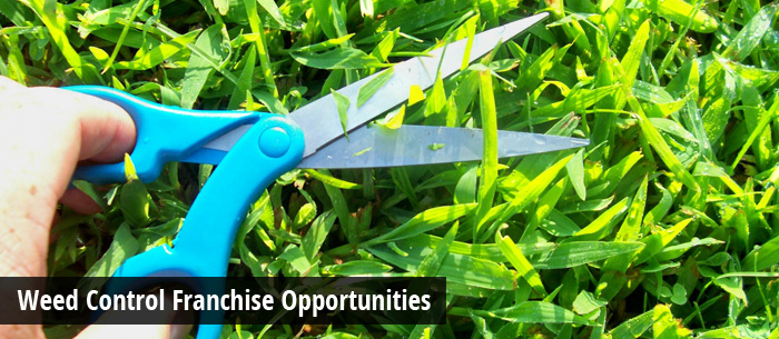 Image of Weed Control Franchise Opportunities