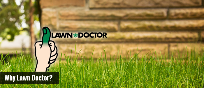 Image ofWhy Lawn Doctor?