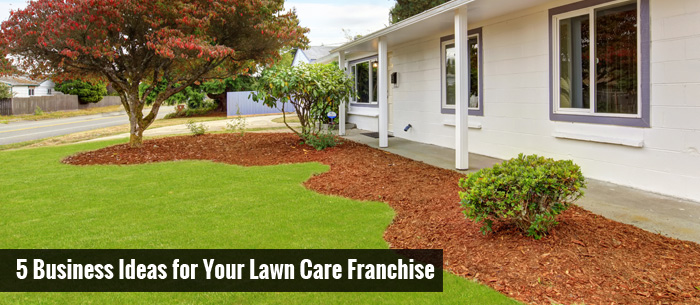 Image of5 Business Ideas for Your Lawn Care Franchise