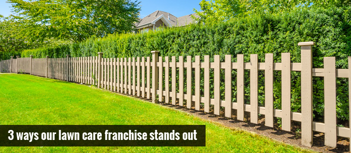 Image of3 Ways our Lawn Care Franchise Stands out
