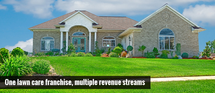 Image ofOne Lawn Care Franchise, Multiple Revenue Streams